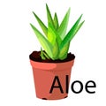 Aloe pot for flowers, with earth, pink, for seedlings, pots.