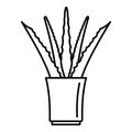 Aloe pot icon, outline style Royalty Free Stock Photo