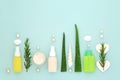 Aloe and Rosemary Natural Herbal Skincare Treatment Royalty Free Stock Photo