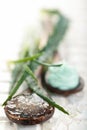 Aloe skin care products. Royalty Free Stock Photo