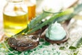 Aloe skin care products. Royalty Free Stock Photo