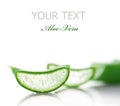 Aloe-Vera Royalty Free Stock Photo