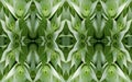 Aloe Vera abstract greenery seamless symmetrical wallpaper