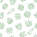 Aloe vera background, agave plant seamless pattern. Succulent wallpaper with line icons of aloevera leaves. Herbal