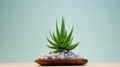 Aloe Vera Bonsai Tree: Berliner Weisse Minimalist Desktop Wallpaper Hd