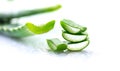 Aloe Vera closeup. Sliced Aloevera natural organic renewal cosmetics, alternative medicine. Organic skincare concept Royalty Free Stock Photo