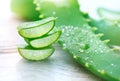 Aloe Vera closeup. Sliced Aloevera natural organic renewal cosmetics, alternative medicine. Organic skincare concept Royalty Free Stock Photo