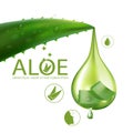 Aloe Vera collagen Serum Nature Skin Care Cosmetic Vector illustration