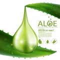 Aloe Vera collagen Serum Nature Skin Care Cosmetic Vector illustration