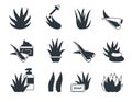 Aloe Vera collection isolated vector Silhouette Royalty Free Stock Photo