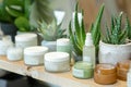 Aloe Vera Cream Jar. Jar of soothing aloe vera cream, a natural skincare product known for its moisturizing properties