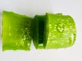 Aloe vera cut for beauty cosmetic care herbal aloe vera leaves