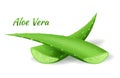 Aloe Vera cut leafs, realistic green plant, two aloe leaves or cut pieces isolated on white