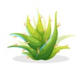 Aloe vera in cute cartoon style, mexican plant