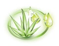 Aloe vera and extract