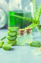 Aloe Vera extract in a small bottle and pieces on the table.