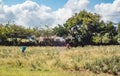 Aloe Vera farm ATV tour of the east side Curacao Views