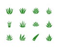 Aloe vera flat glyph icons. Succulent, tropical plant vector illustrations, signs for organic food, cosmetic. Solid