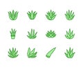 Aloe vera flat line icons. Succulent, tropical plant vector illustrations, thin signs for organic food, cosmetic. Pixel