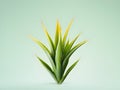 Aloe vera flower in studio background, single aloe vera flower, Beautiful flower, ai generated image