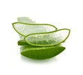 Aloe vera fresh leaf Royalty Free Stock Photo