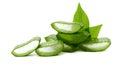 Aloe vera. Royalty Free Stock Photo