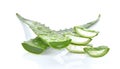 Aloe vera fresh leaf isolated on white background Royalty Free Stock Photo