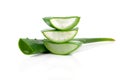 Aloe vera fresh leaf Royalty Free Stock Photo