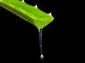 Aloe Vera gel Royalty Free Stock Photo