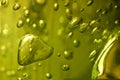 Aloe vera gel closeup green liquid