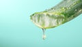 Aloe Vera gel dripping from Aloe green leaf closeup. Skincare concept. Drop of Aloevera fresh juice macro shot Royalty Free Stock Photo