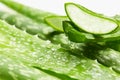 Aloe vera gel dripping from aloe vera slice Royalty Free Stock Photo