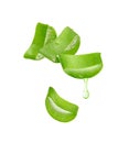 Aloe vera gel dripping from aloe vera slice Royalty Free Stock Photo