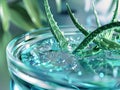 Aloe vera gel has been researched and tested in labs to be included in skin care products on the market