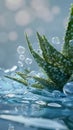 Aloe vera gel has been researched and tested in labs to be included in skin care products on the market
