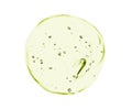 Aloe vera gel swatch. Clear green skin care serum drop. Transparent cosmetic product blob isolated