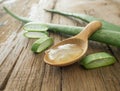 aloe vera gel Royalty Free Stock Photo