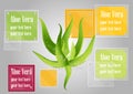 Aloe vera with glass frames background,Vector illustration