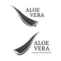 Aloe Vera icon Royalty Free Stock Photo