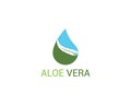 Aloe vera icon logo template Royalty Free Stock Photo