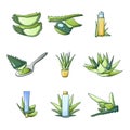 Aloe vera icon set, cartoon style Royalty Free Stock Photo