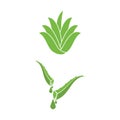 Aloe vera icon Vector Illustration design Logo Royalty Free Stock Photo