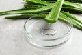 Aloe vera juice dripping from green leaf into petri dish Royalty Free Stock Photo