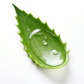 Real Aloe Vera Leaf With Water Droplet On White Background