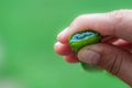 Aloe Vera leaf juice in woman`s hand Royalty Free Stock Photo