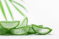 Aloe vera leaf slices with gel on white background. Royalty Free Stock Photo