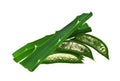 Aloe vera leaf with slices isolated on white background Royalty Free Stock Photo