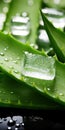 Aloe vera leafs sliced into pieces with aloe vera gel. Vertical poster