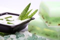 Aloe vera leaves, bath salt, handmade soap Royalty Free Stock Photo