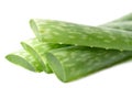 Aloe vera leaves Royalty Free Stock Photo